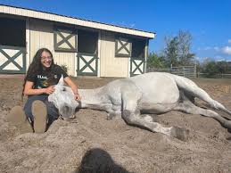 Alyssa Foti (@alyssaxfoti) • Instagram photos and videos