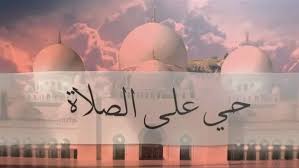 شبكة تواصل الإخبارية - News update