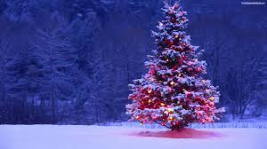 Resultado de imagen para descargar imágenes de navidad