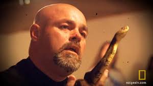 ​Snake-handling preacher dies from bite after refusing anti-venom. Published time: February 17, 2014 09:12. Edited time: February 18, 2014 13:44 - 1.si