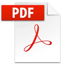 Image result for pdf icon