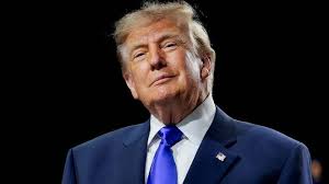 Will you get Trump's $5,000 dividend check? Here's what we know.