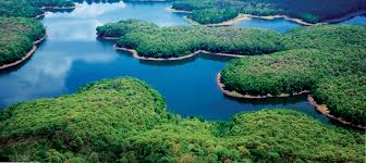 Image result for kerala images