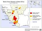 Ebola news