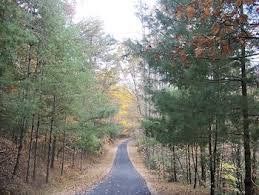 Parking and Highway Improvement Contractor