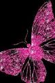 Glitter butterfly wallpaper