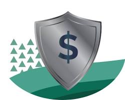 Image of person looking at phone with money shield graphic