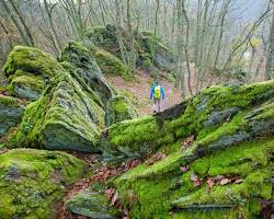Afbeelding van Wandeling langs de Ourthe hiking trail in Ardennes