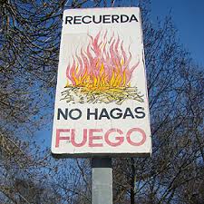 Resultado de imagen para fotos de incendios forestales