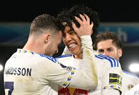 Ao Tanaka the real winner despite World Cup draw vs Leeds United pal Gabriel Gudmundsson