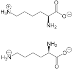 1Calcium fluoratum BIOCHEMIE PFLÜGER CREME