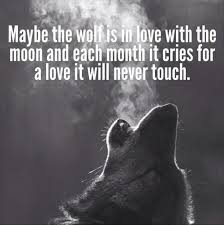 Wolves Quotes And Sayings. QuotesGram via Relatably.com