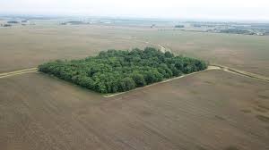 Ohio Supreme Court says state must revisit massive solar farm on Gates land