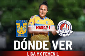 MARCA - News update