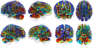 Red light therapy shows promise for protecting football players' brains