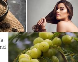 Image of Amla for hair