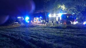 PolsatNews.pl - News update