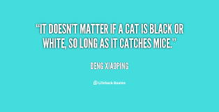 It doesn&#39;t matter if a cat is black or white, so long as it ... via Relatably.com