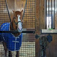 Why Triple Crown Winners are Trending: Tradition vs. Modern Racing