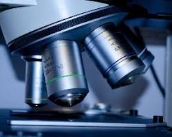 Imagen de Revólver del microscopio