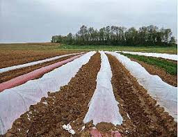 Bildergebnis für row cover