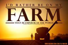 Quotes on Pinterest | Flower Quotes, Farmers and Country Quotes via Relatably.com