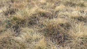 Sècheresse : premières mesures de restriction en Ardèche