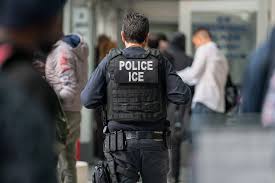 "Your batting average is horrible" - Adam Carolla tells Hollywood "idiots" to "shut up" about ICE raids