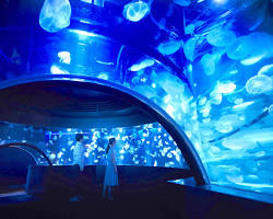 京都水族館の画像