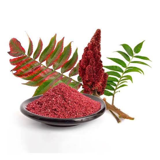 صورة نبات : سمّاق ،سمّاق الخلّ، سمّاق الدباّغين، الضمخ،  تمُتمُ، عَبْرَبْ