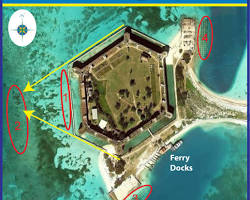 Image of Snorkeling in Dry Tortugas