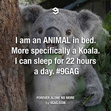 I&#39;m an animal in bed | We Heart It | funny, animal, and haha via Relatably.com