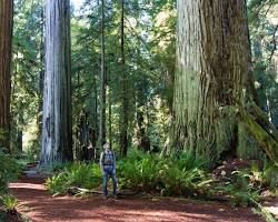Image of Hiking in Northern California