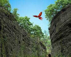 Imagen de Xcaret