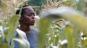 CBC and Crave rivalry