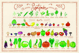 Resultado de imagen de légume fruit saison