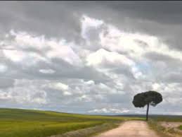 Hasil gambar untuk kata kata perpisahan sekolah