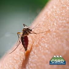 CSRD, BC - News update
