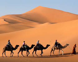 Image result for dubai tourism places