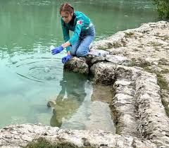 Buscan mitigar impacto ambiental por turismo en Quintana Roo durante el Mundial