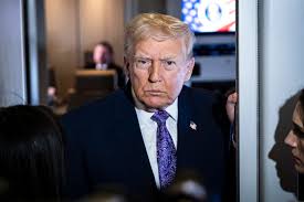 Live updates: Tennessee holds special election for House seat; Trump holds Cabinet meeting