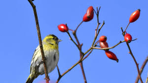 Photo Quel temps est pr�vu � Al�s et ses environs le samedi 24 juin 2023 ?