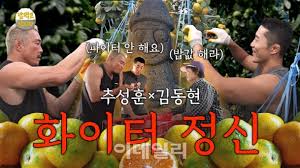 네이트 - News update