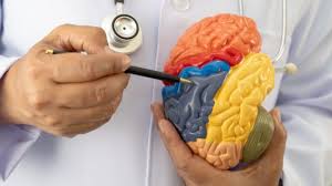 Pesticide Exposure Again Linked to Neurotoxic Effects in Humans and Wildlife in Comprehensive Review