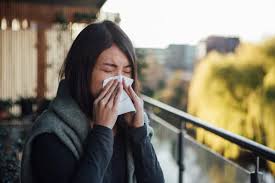 The Escalating Agony: Understanding the Deteriorating Hay Fever Season - 1