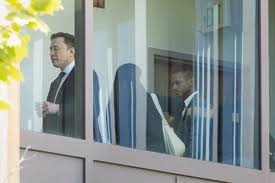 Elon Musk : ce qu'il faut savoir