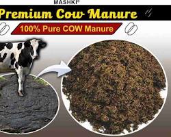 Image of Cow manure