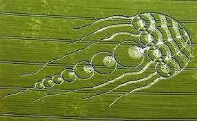 Spiritual Cosmos: Why Aliens are making CROP CIRCLES on the earth