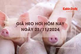 Giá heo hơi hôm nay 23/11: giao dịch trái chiều