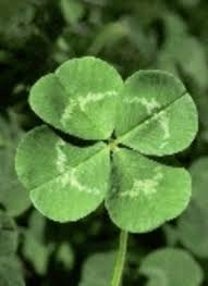 images?q=tbn:ANd9GcSHcmm9_VhChSLWTcN4mD-1xDsW7YI79mR2N5RMmtObNYWj2z7d